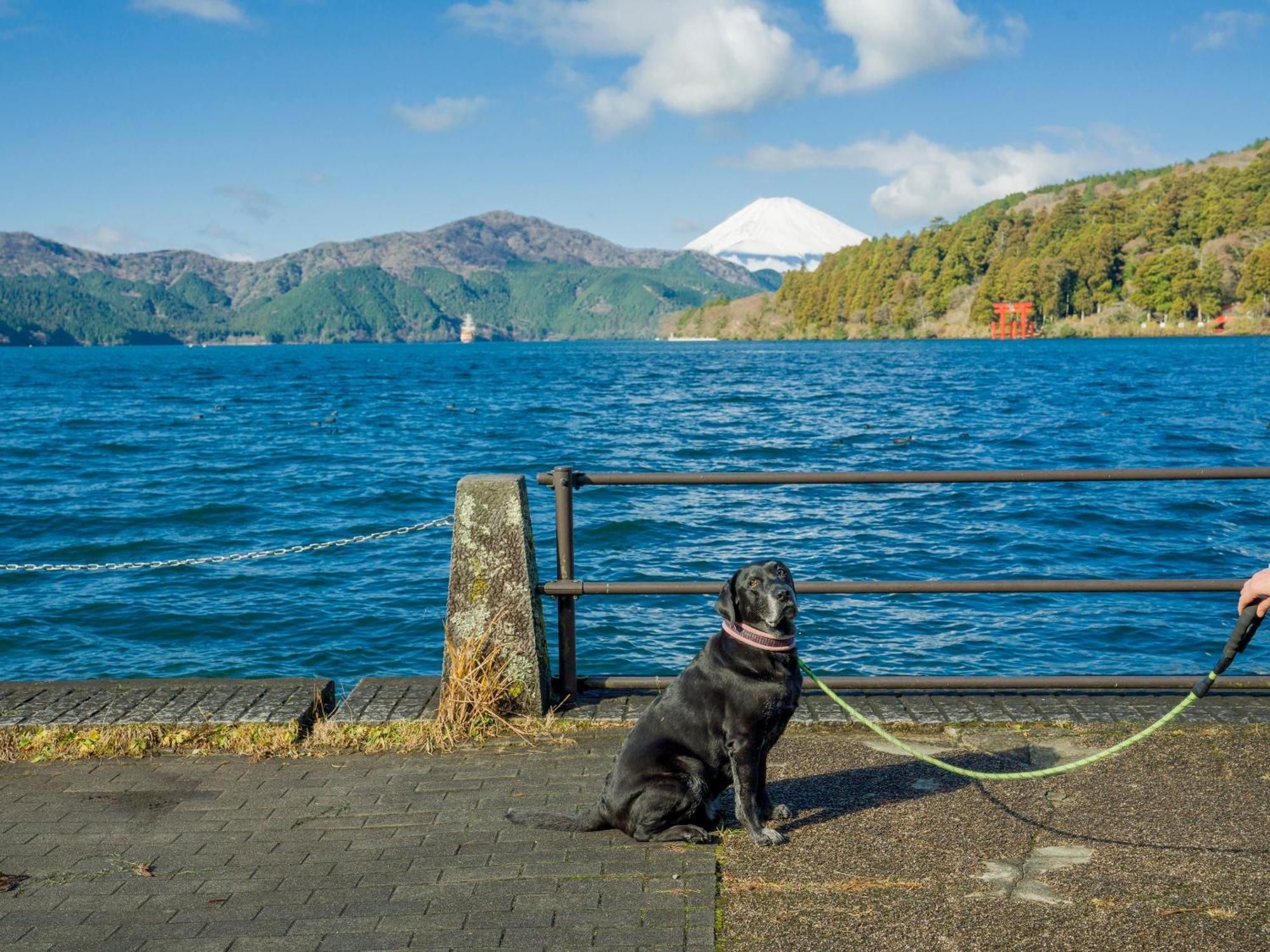 Rakuten Stay Fujimi Terrace Hakone Ashinoko Exteriör bild